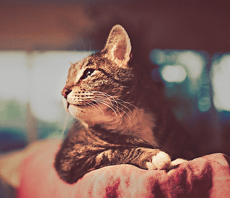 學(xué)習(xí)CAD!每天五個小技巧!這個系列趕快收藏!