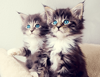 測繪CAD丨批量標注坐標，你不需要嗎？