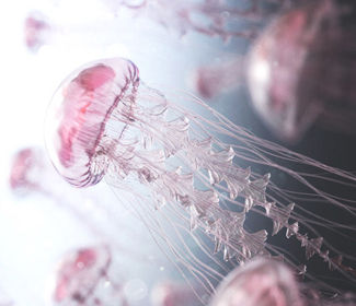 低空無人機(jī)測(cè)繪:高效、精確、廣泛應(yīng)用的新興技術(shù)